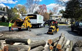 Trusted Westwego, LA Tree Services Experts