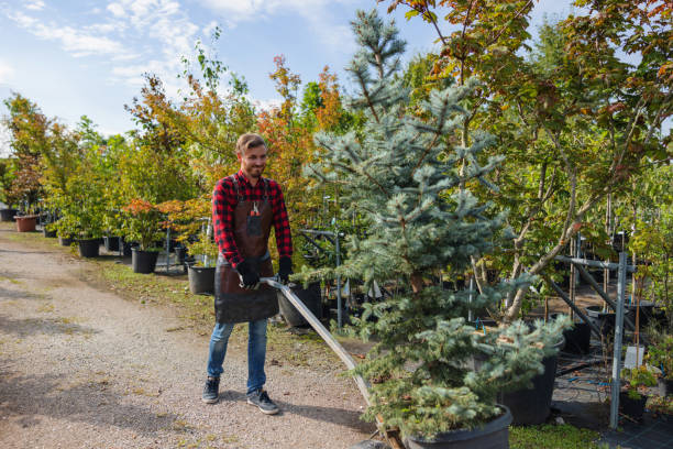 Mulching Services in Westwego, LA